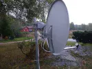 Motor dish 3a.webp