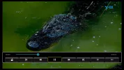Encode_1080P_697.mp4_20220218_114638.698.webp