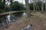 8m width.webp