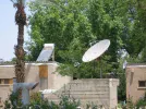Valley Dish.webp