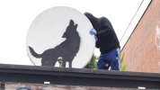 skynews-banksy-wolf_6650993.jpg