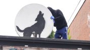 skynews-banksy-wolf_6650993.jpg