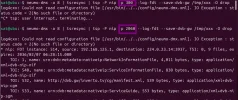11353 v_NIP_pid 300 or 2060_2026-02-15_21-30.webp