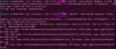 11353 v_NIP_pid 300 or 2060_2026-02-15_21-30.webp