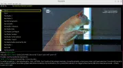 12606 V_MIS 4_Rai 5_2026-08-03_16-58.webp