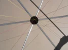 P1010038.webp