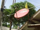 DSC00460.webp