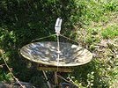 dish2s.jpg