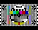 svt2.webp