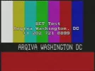 betwashington tc.webp
