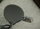 north coast dish.webp