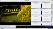 TV Centr.webp