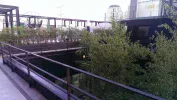 IMAG1481.webp