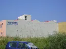 P7290076.webp